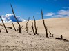 Polská Sahara - největší pohyblivá písečná duna Łącka Góra na břehu Baltu